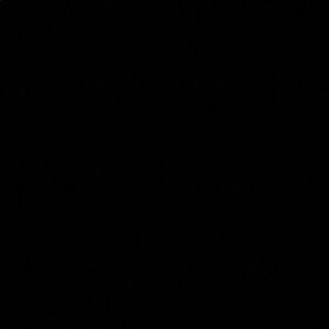 Meet your Posher, Denison